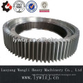 Custom Pinion Manufacturers